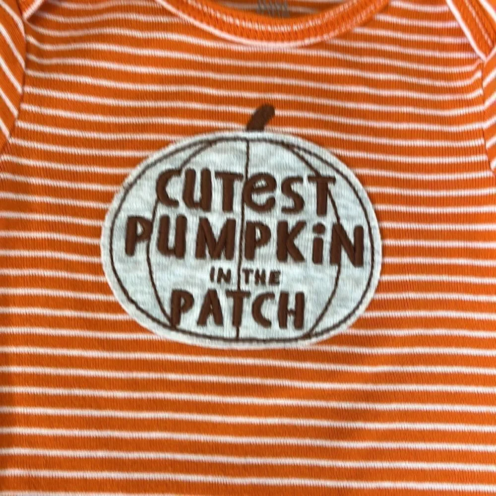 Carters Size 9 Months Cutest Pumpkin In The Patch Onesie and Pant Set